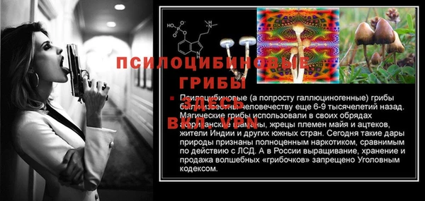 гашик Баксан
