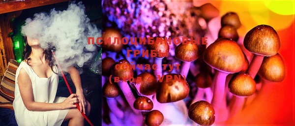 МДПВ Балахна